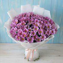 Букет сиреневая охапка в Туле Букет цветов из:  Хризантемы в Туле