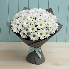 Букет цветов из:  Хризантемы #REPLACE_PRED# Туле