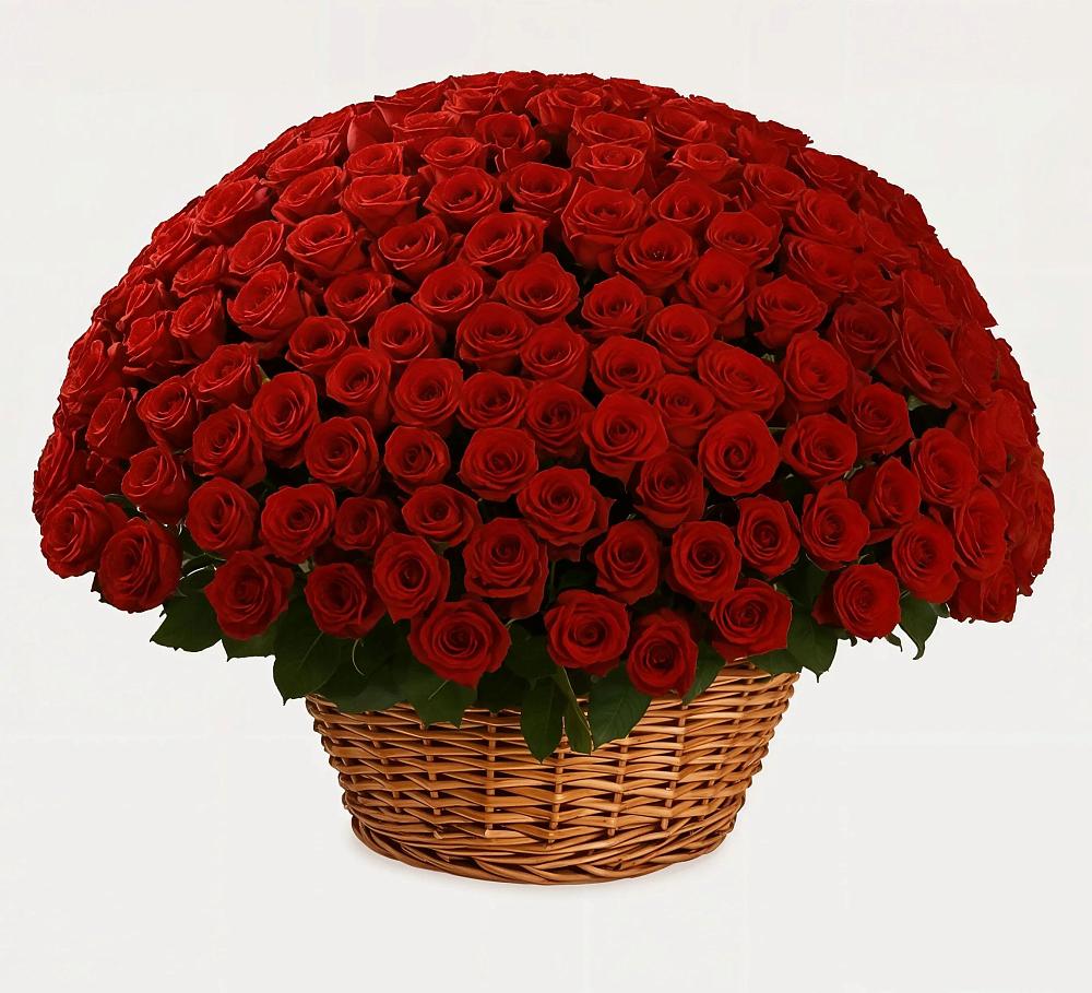 251 Премиум красная роза в Туле Премиум букет из: Розы в Туле